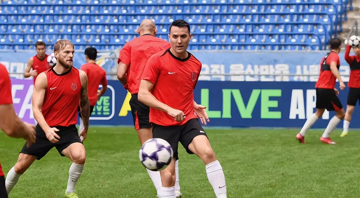 之间的默契, yid